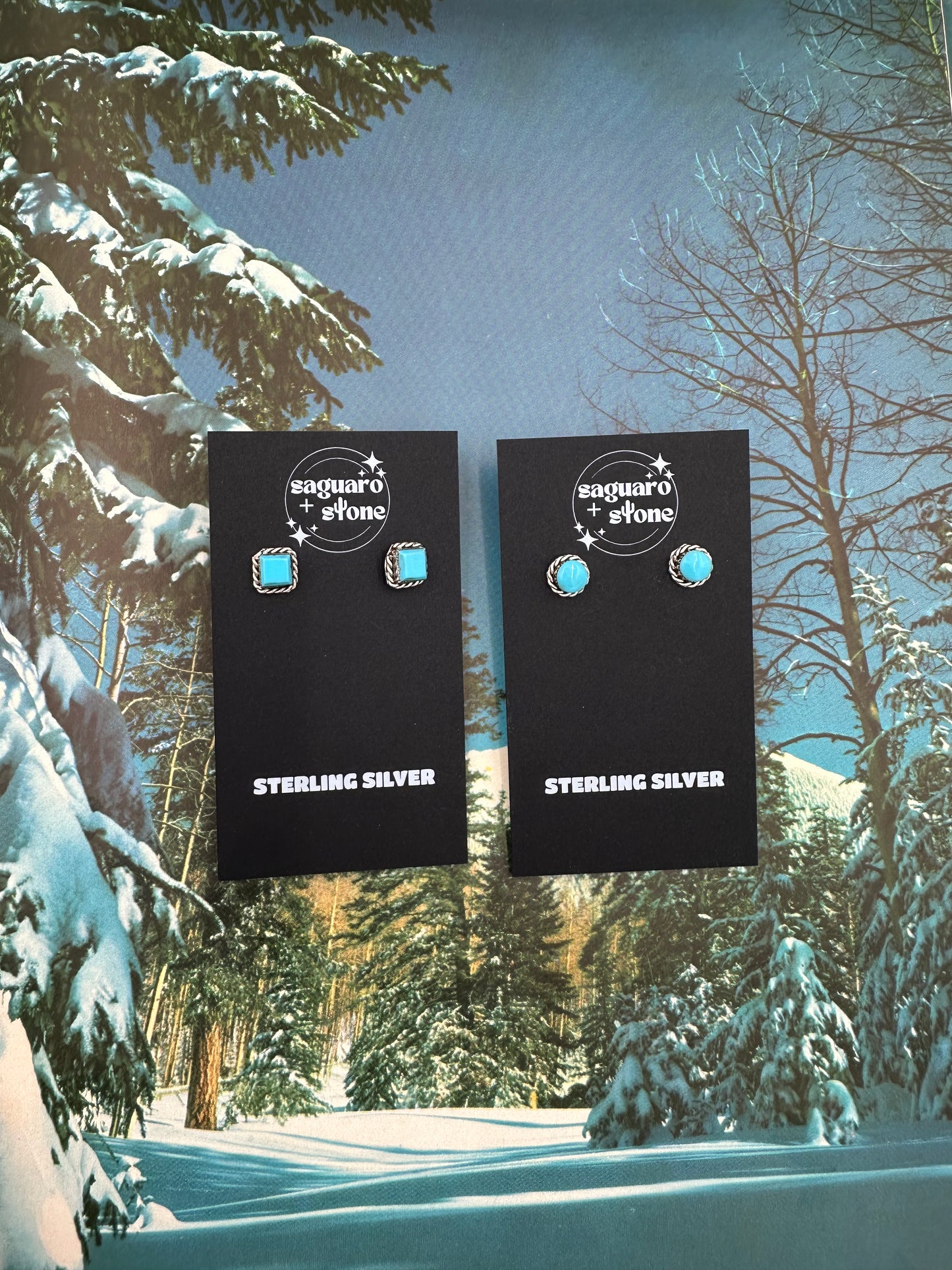 Highs & Lows Earrings