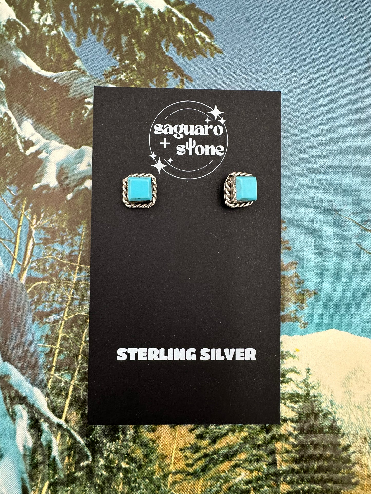 Highs & Lows Earrings