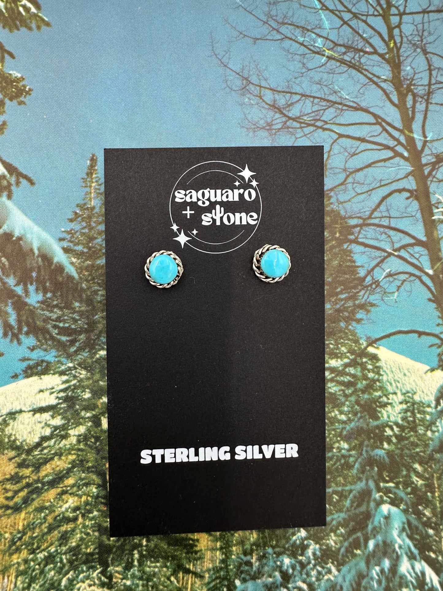 Highs & Lows Earrings