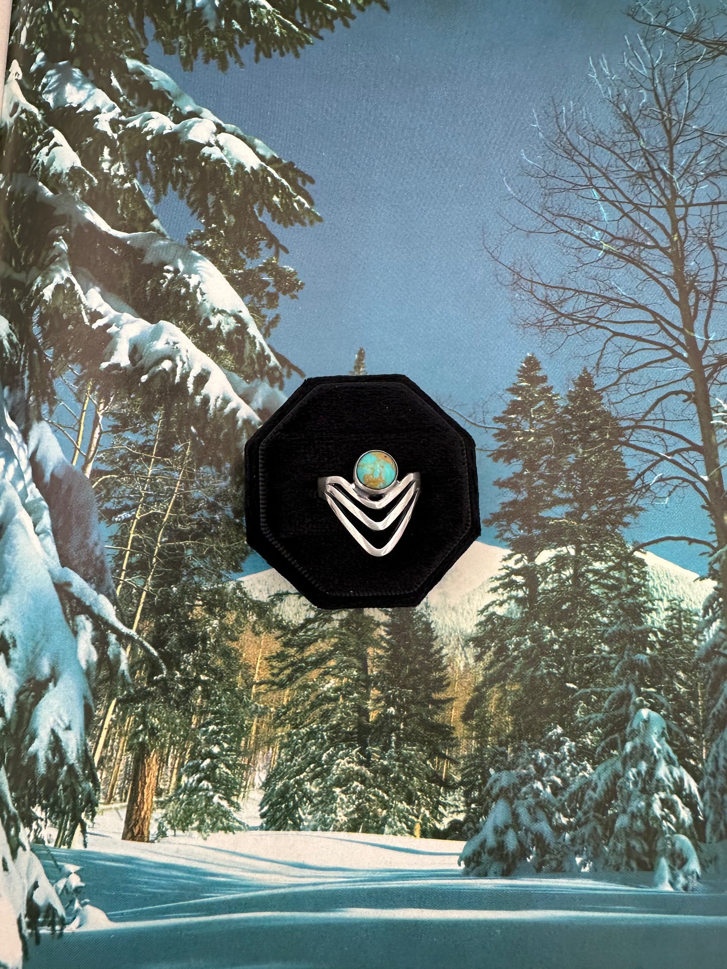 That's What I'll Be Ring