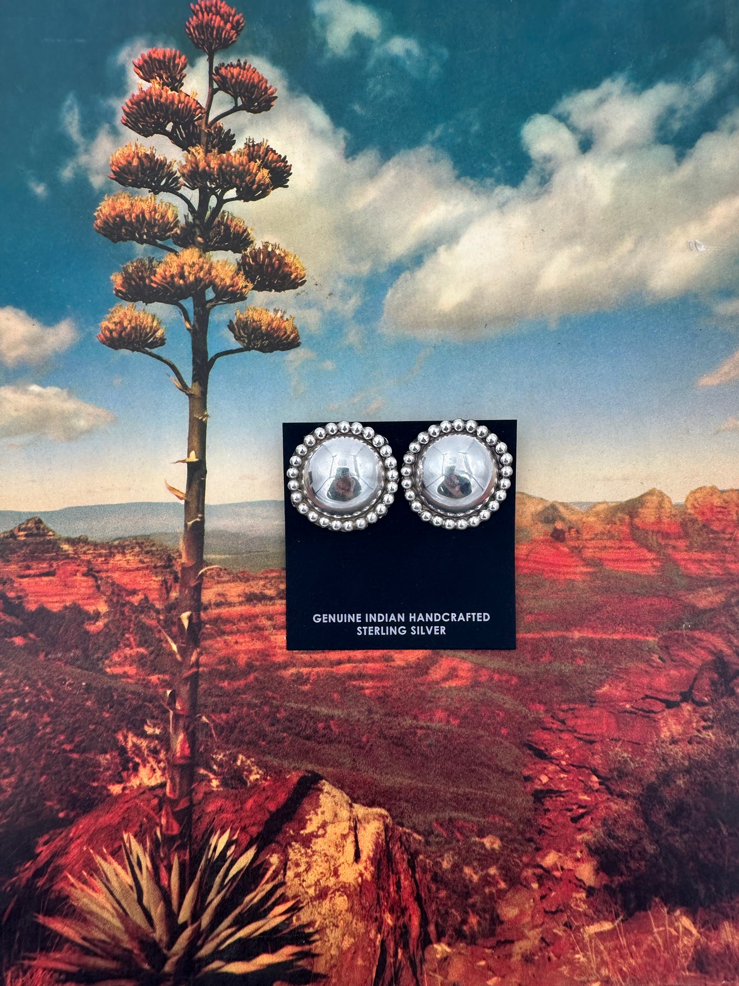 Turned Into Missing You Earrings