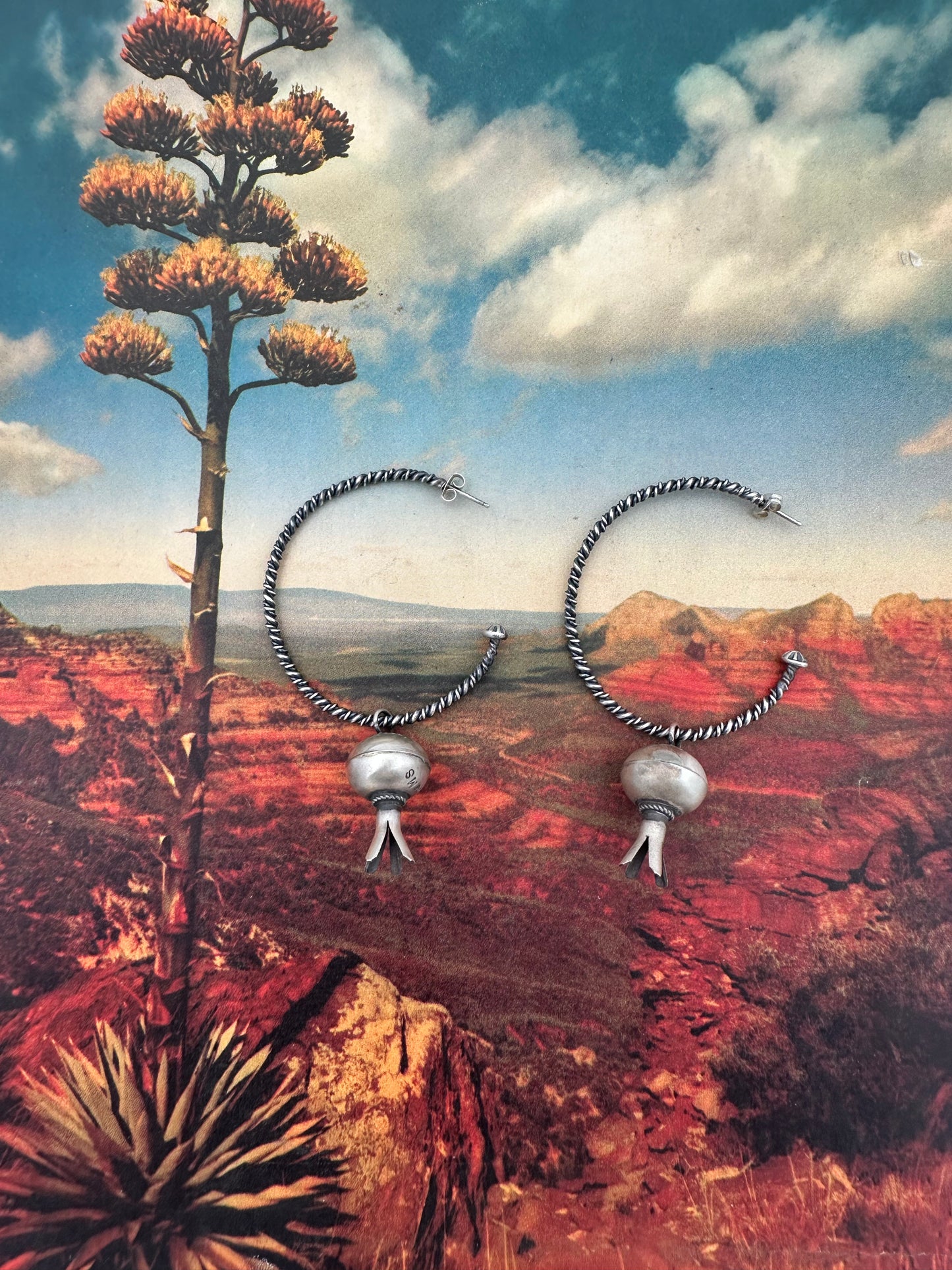 Why'd Ya Do It Earrings