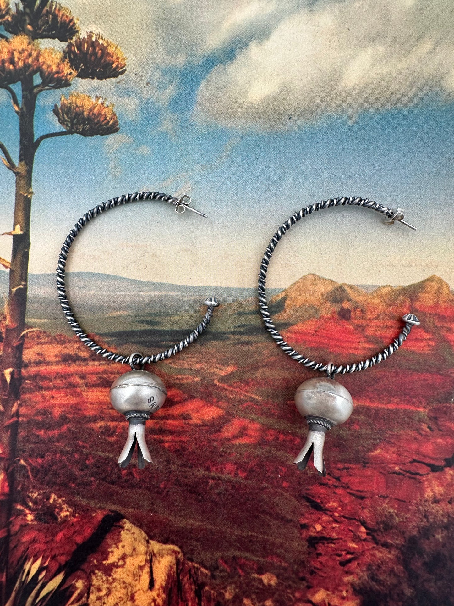 Why'd Ya Do It Earrings